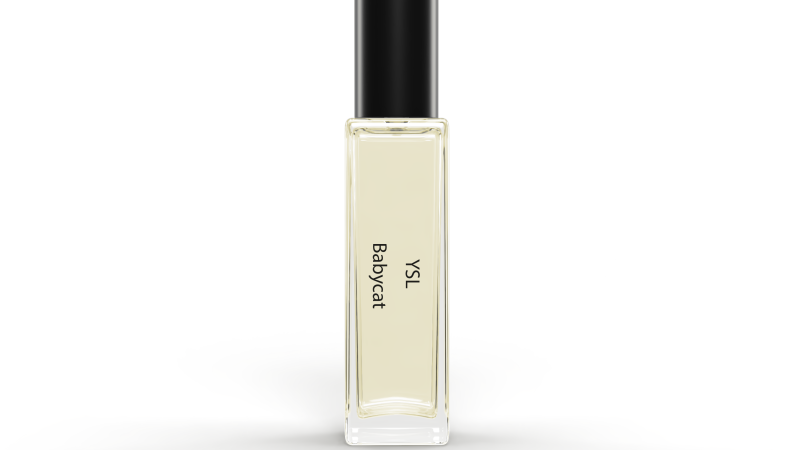 YSL Babycat vs. Our Inspired Oil: Same Soul, Smarter Price